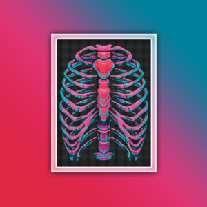 Anatomy Ribcage