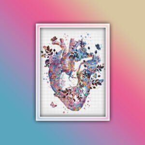 Anatomy Heart 4