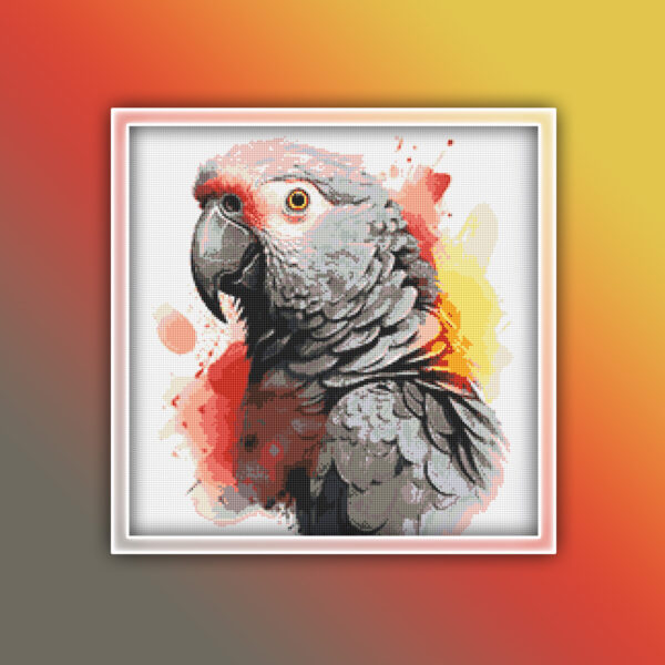 African Grey Parrot 1
