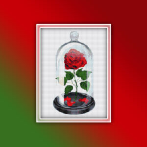 Beauty and the Beast Rose