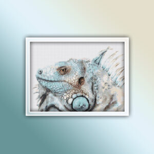 Bearded Dragon 1