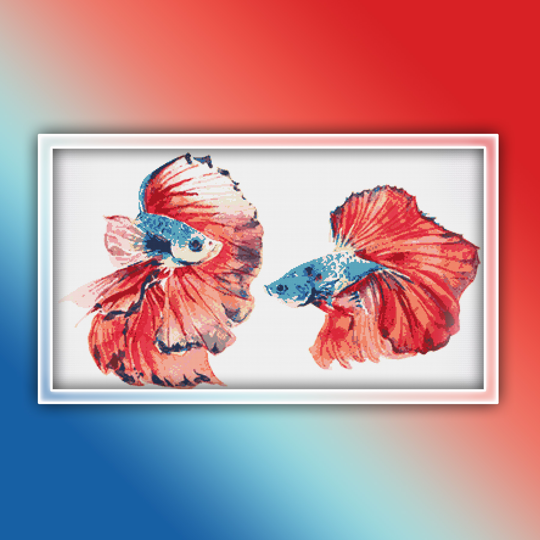 Preview 2020 Betta Fish 2