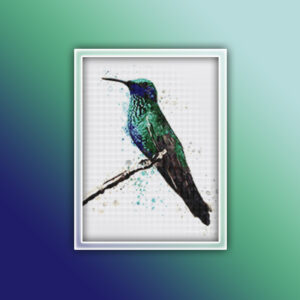 Blue Humming Bird 2