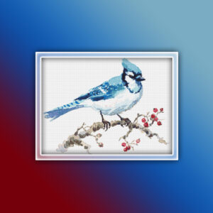 Blue Jay 1