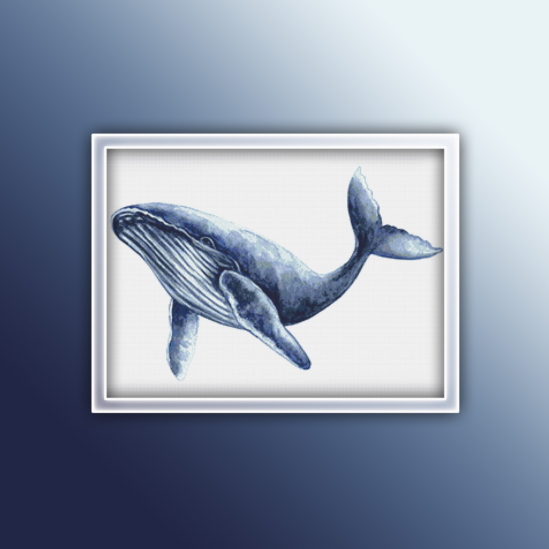 Preview 2020 Blue Whale 4