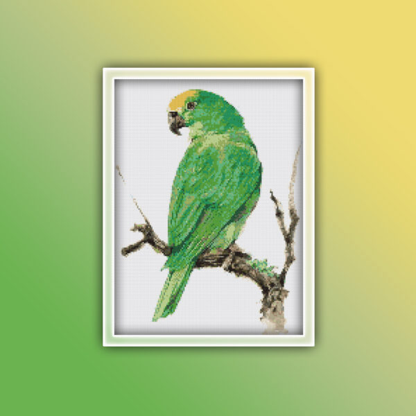 Bird 5