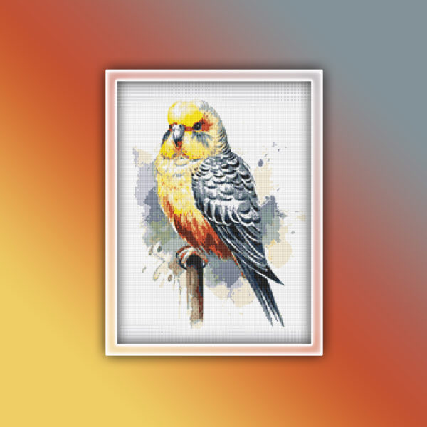 Budgie 1