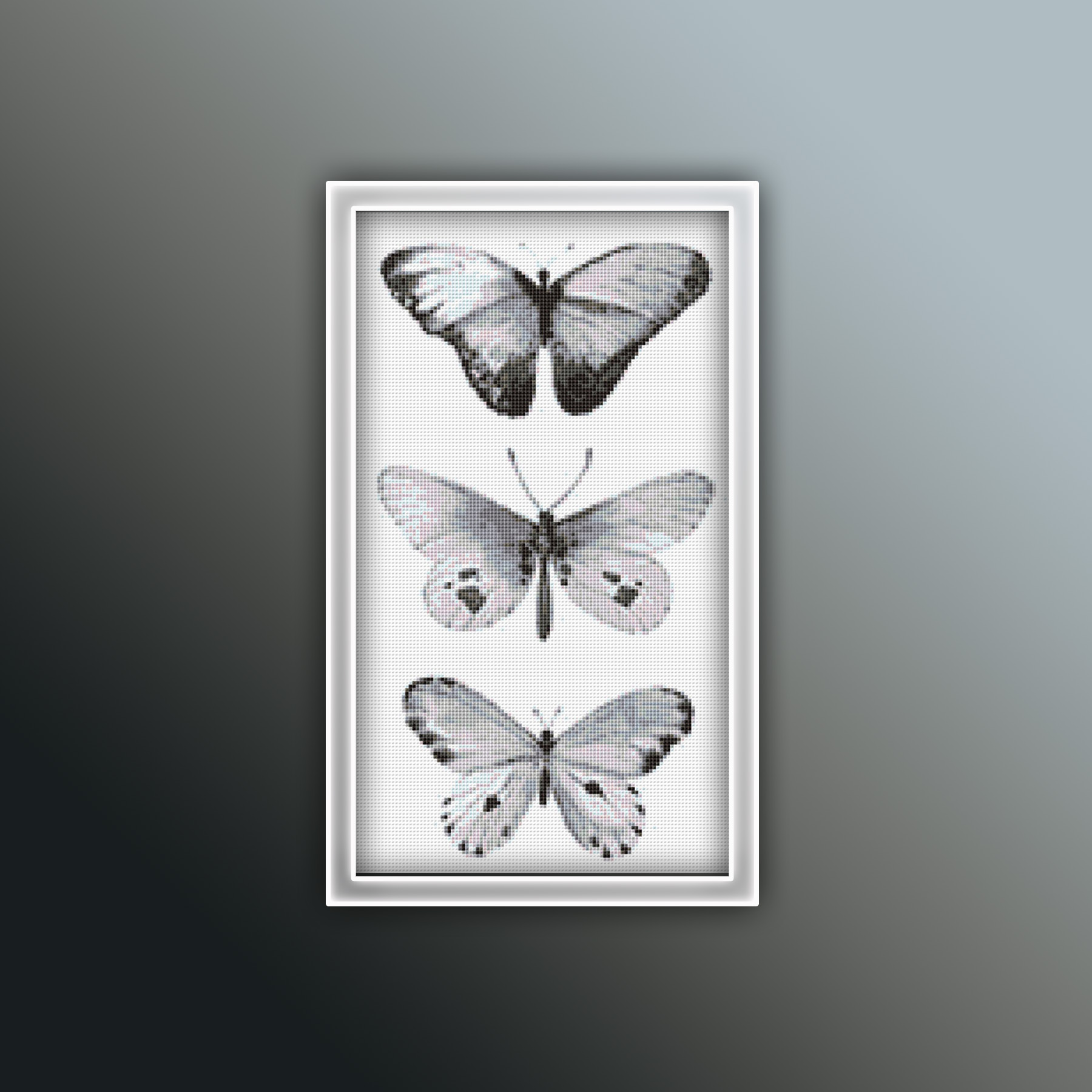 Preview 2020 Butterflies 5