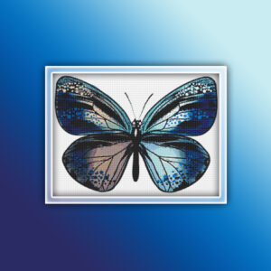 Butterfly 9
