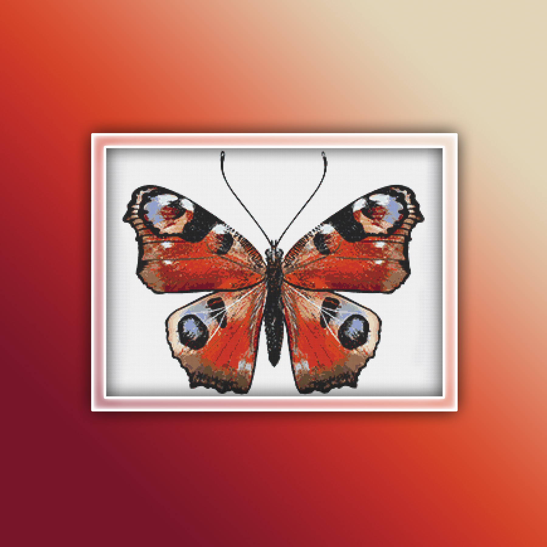 Preview 2020 Butterfly 16