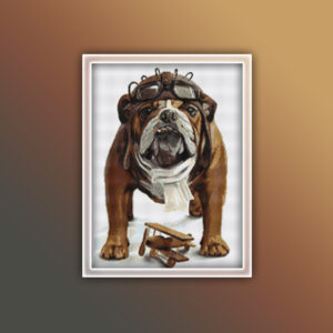 Bulldog Pilot 1