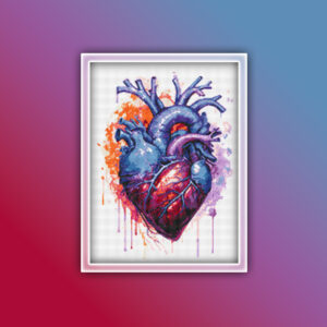 Anatomy Heart 7