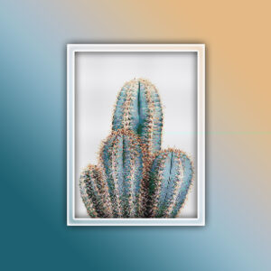 Cactus 21