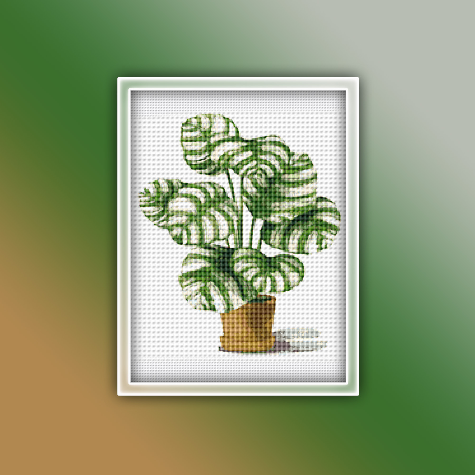 Preview 2020 Calathea Orbifolia Leaves