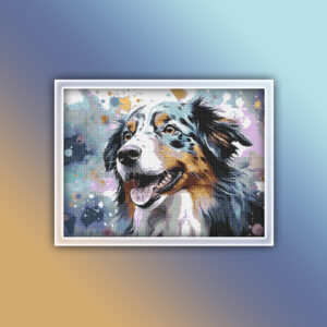 Australian Shepherd 1