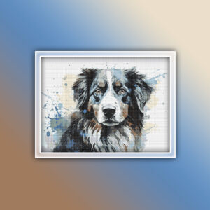 Australian Shepherd 3