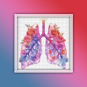 Anatomy Lungs 5