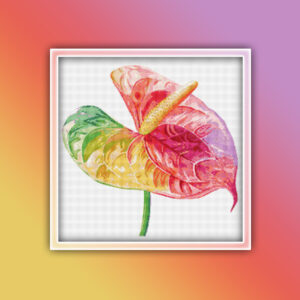 Anthurium 1