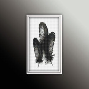 Black Feather 2
