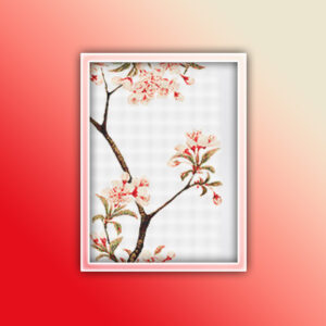 Cherry Blossom Flowers 3