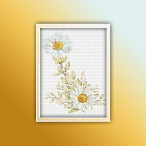 Chrysanthemum Flowers 1