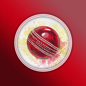 Cricket Ball 1