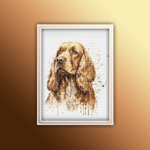 Cocker Spaniel 3
