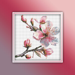Cherry Blossom Flower 2