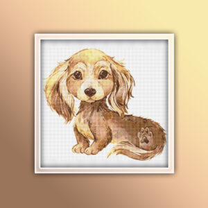 Dachshund Long Hair 17