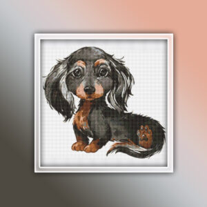 Dachshund Long Hair 19