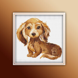 Dachshund Long Hair 20