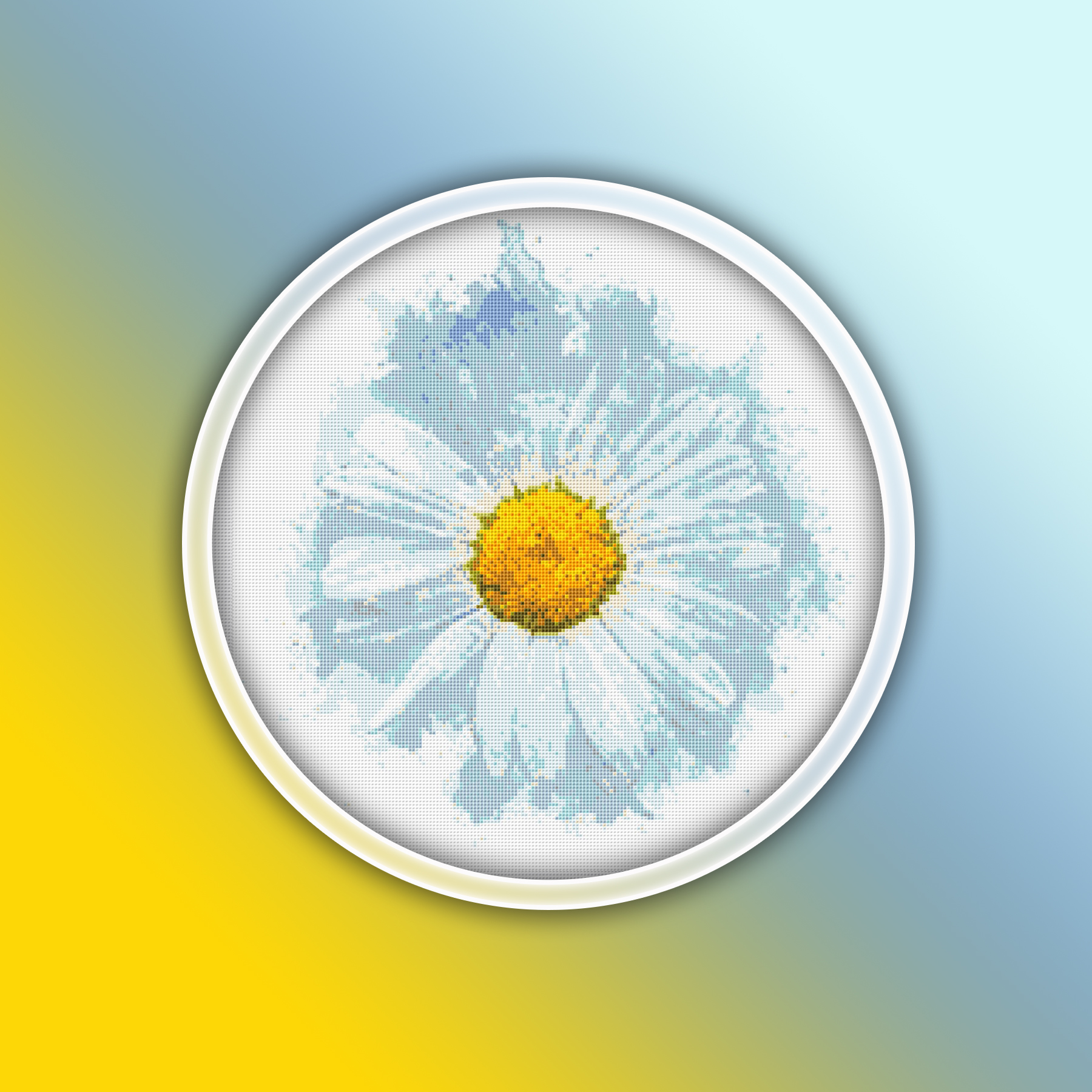 Preview 2020 Daisy 1