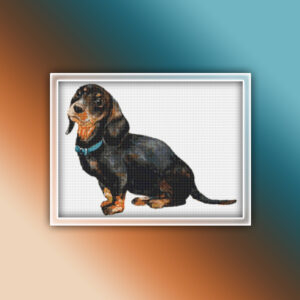 Dachshund 3