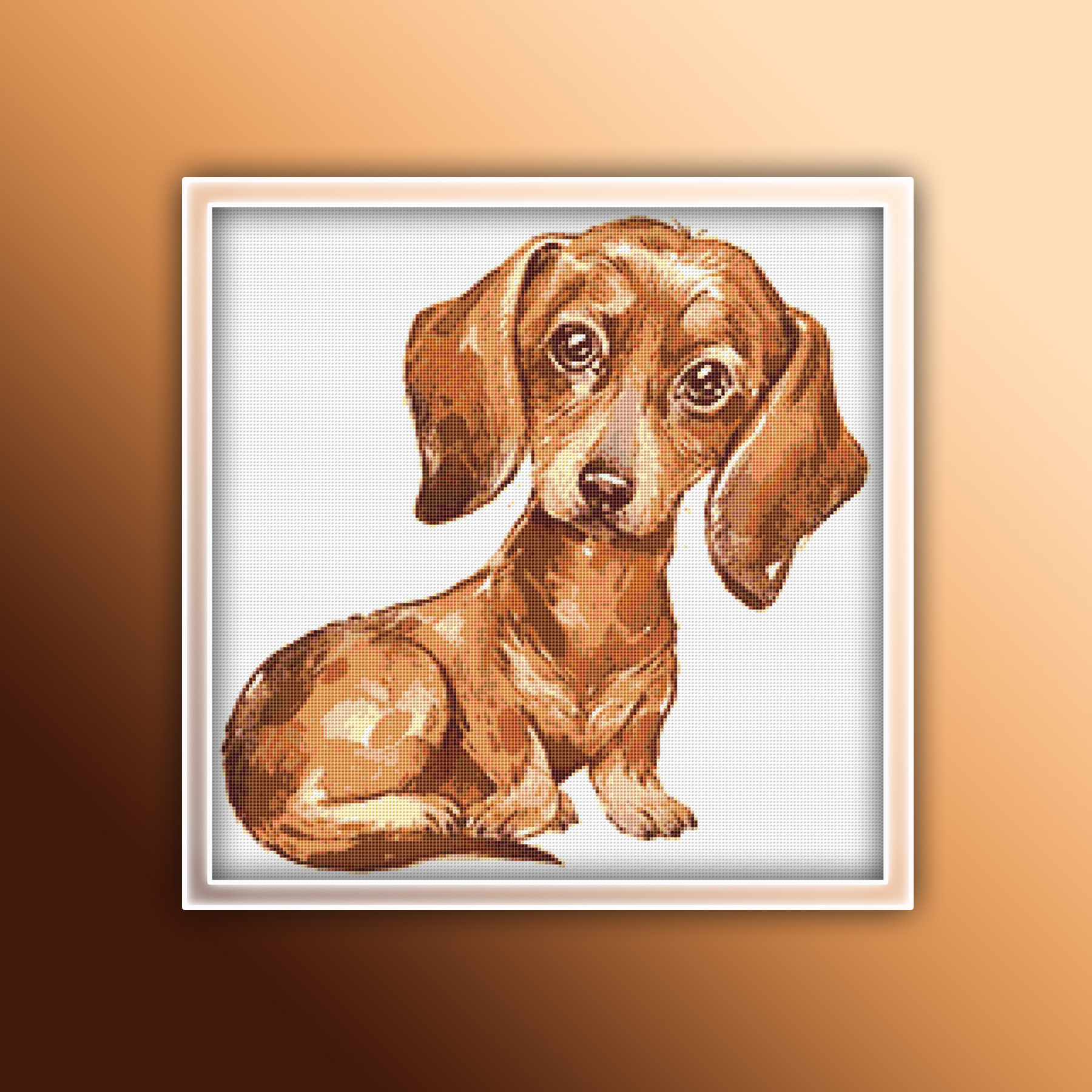 Preview 2020 Dachshund 14