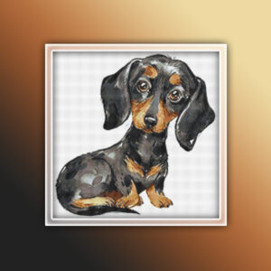 Dachshund 17