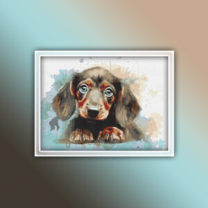 Dachshund 4