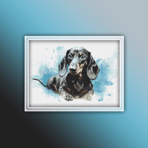 Dachshund 5