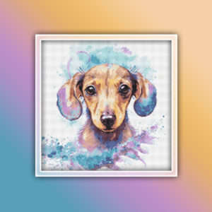 Dachshund 7