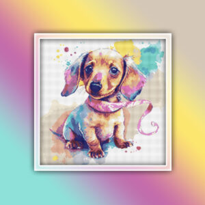 Dachshund 12