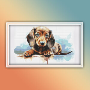 Dachshund 19
