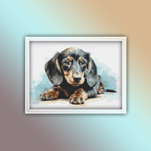 Dachshund 20