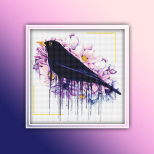 Eurasian Blackbird 1