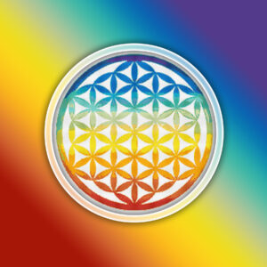Flower of Life 1