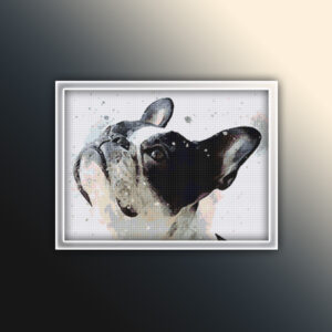 French Bulldog 6