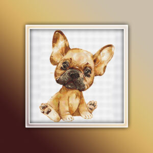 French Bulldog 7