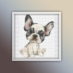 French Bulldog 11