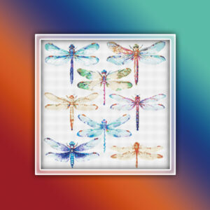 Dragonflies 3