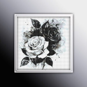 Black and White Rose 1