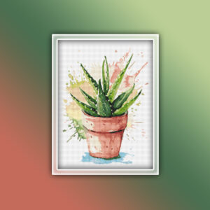Aloe in a Pot 1