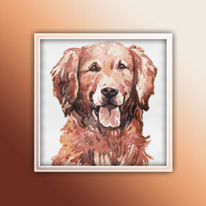 Golden Retriever 2